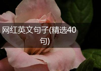 网红英文句子(精选40句)