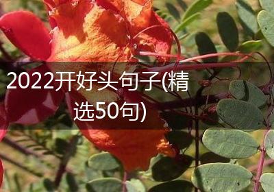 2022开好头句子(精选50句)