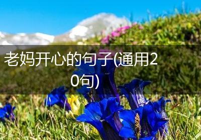 老妈开心的句子(通用20句)
