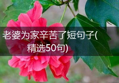 老婆为家辛苦了短句子(精选50句)
