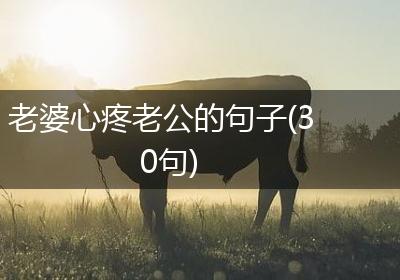 老婆心疼老公的句子(30句)