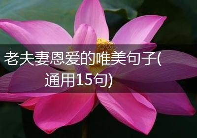 老夫妻恩爱的唯美句子(通用15句)