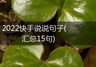 2022快手说说句子(汇总15句)