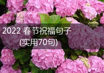 2022 春节祝福句子(实用70句)