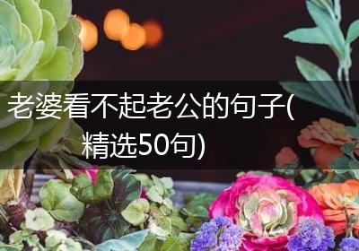 老婆看不起老公的句子(精选50句)