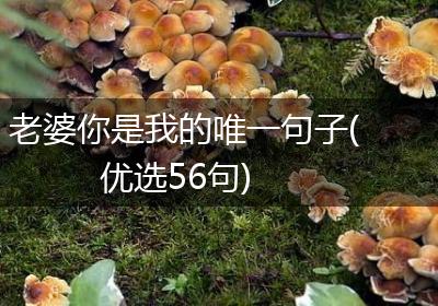 老婆你是我的唯一句子(优选56句)