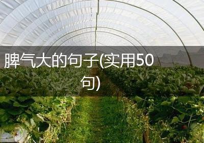 脾气大的句子(实用50句)