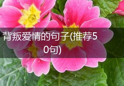 背叛爱情的句子(推荐50句)