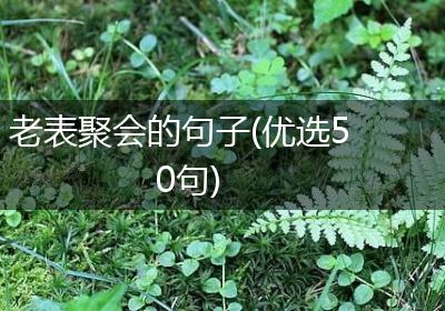 老表聚会的句子(优选50句)