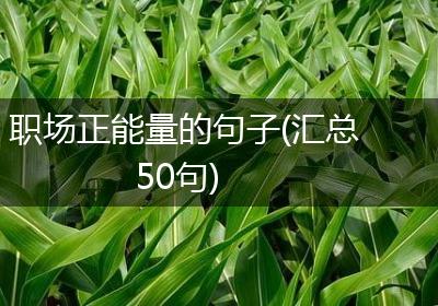 职场正能量的句子(汇总50句)