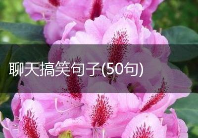 聊天搞笑句子(50句)