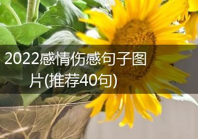 2022感情伤感句子图片(推荐40句)