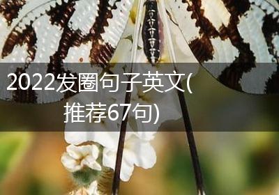 2022发圈句子英文(推荐67句)