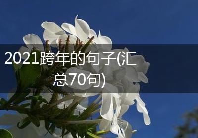 2021跨年的句子(汇总70句)