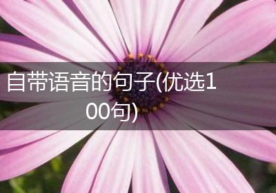自带语音的句子(优选100句)