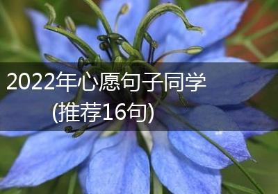 2022年心愿句子同学(推荐16句)