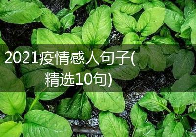 2021疫情感人句子(精选10句)