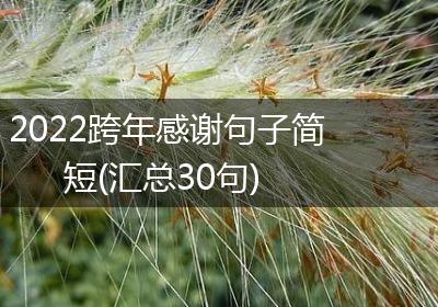 2022跨年感谢句子简短(汇总30句)