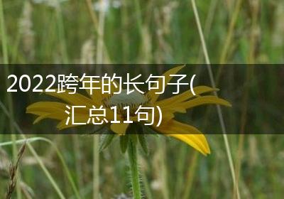 2022跨年的长句子(汇总11句)