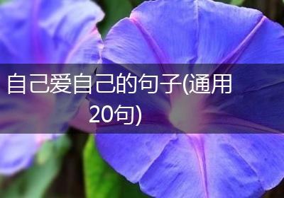 自己爱自己的句子(通用20句)