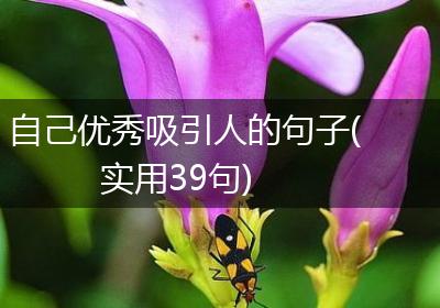 自己优秀吸引人的句子(实用39句)