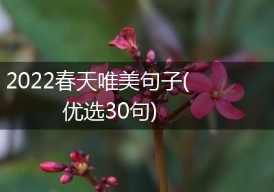 2022春天唯美句子(优选30句)