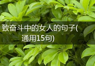 致奋斗中的女人的句子(通用15句)