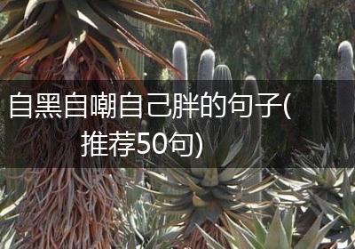 自黑自嘲自己胖的句子(推荐50句)