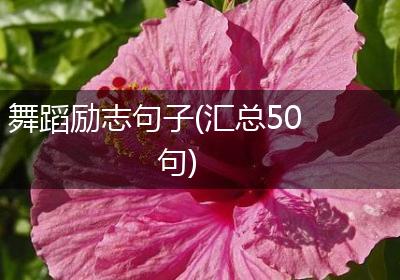 舞蹈励志句子(汇总50句)