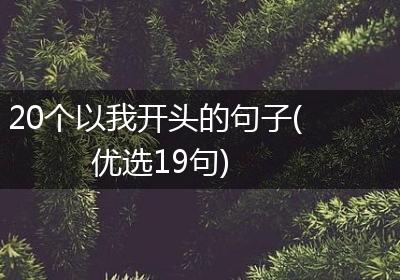 20个以我开头的句子(优选19句)