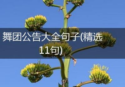 舞团公告大全句子(精选11句)