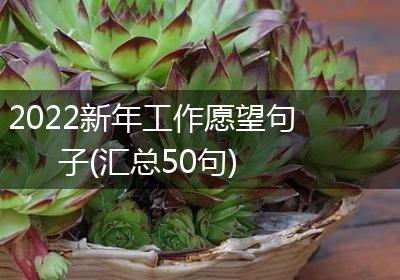 2022新年工作愿望句子(汇总50句)
