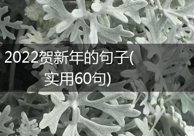 2022贺新年的句子(实用60句)