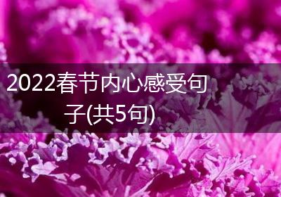 2022春节内心感受句子(共5句)