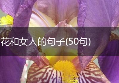 花和女人的句子(50句)