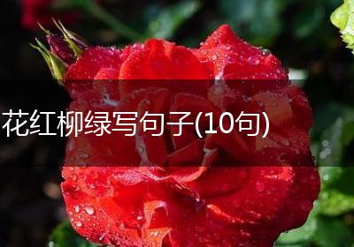 花红柳绿写句子(10句)