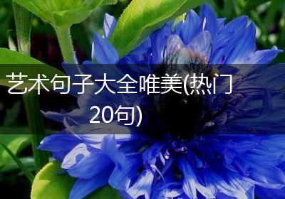 艺术句子大全唯美(热门20句)