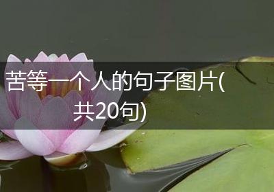 苦等一个人的句子图片(共20句)