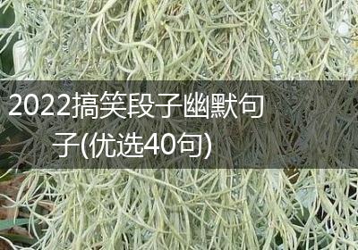 2022搞笑段子幽默句子(优选40句)