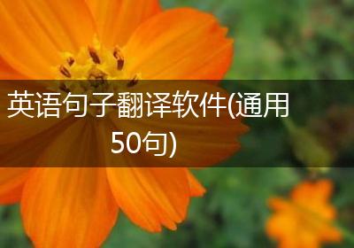 英语句子翻译软件(通用50句)