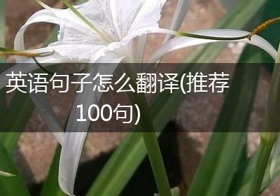英语句子怎么翻译(推荐100句)