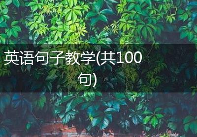 英语句子教学(共100句)