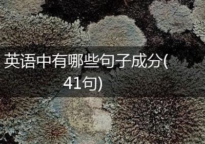 英语中有哪些句子成分(41句)