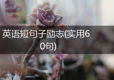 英语短句子励志(实用60句)