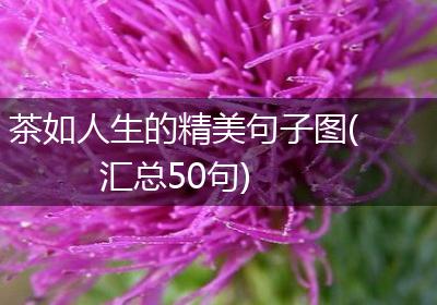 茶如人生的精美句子图(汇总50句)