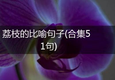 荔枝的比喻句子(合集51句)
