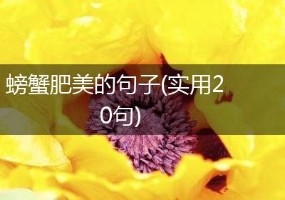 螃蟹肥美的句子(实用20句)