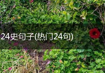 24史句子(热门24句)