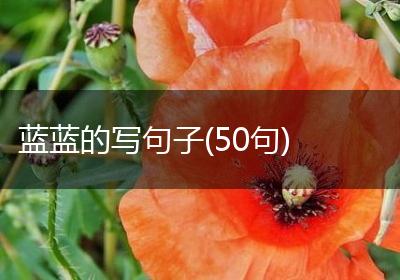 蓝蓝的写句子(50句)