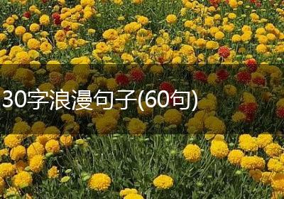 30字浪漫句子(60句)